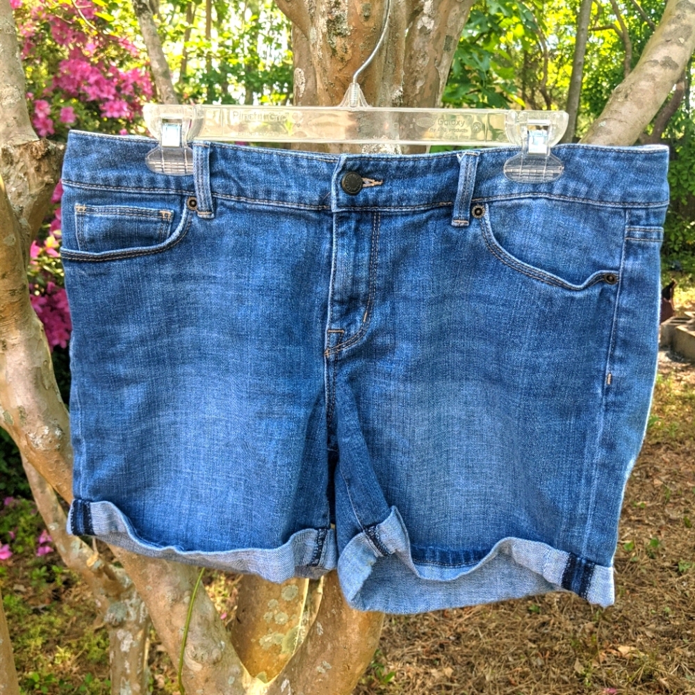 Size 12 denim shorts by the limited